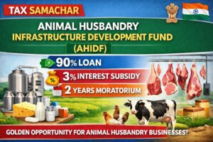 ChatGPT Image Feb 19, 2026, 10_06_24 AM