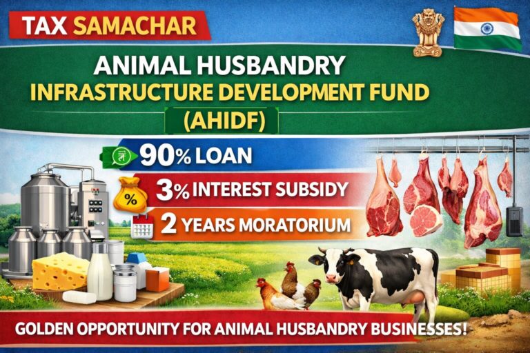 ChatGPT Image Feb 19, 2026, 10_06_24 AM