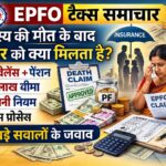 ChatGPT Image Feb 21, 2026, 11_00_37 AM